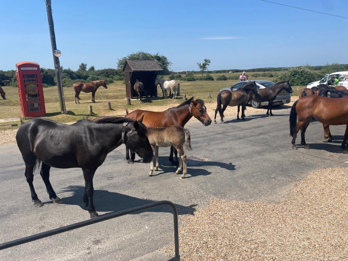 New Forest View Beaulieu Exterior foto